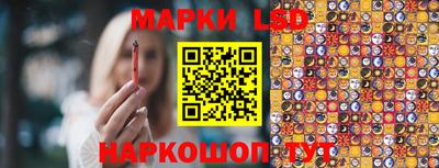 дживик Тара
