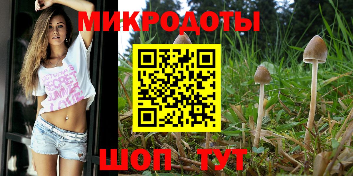 Псилоцибиновые грибы Psilocybine cubensis  Вход с VPN  Бердск 